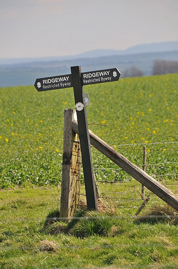 ridgeway mountain bike trail