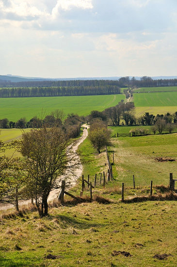 ridgeway mountain bike trail